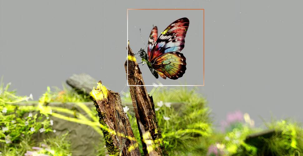 External Bug Bounty Program