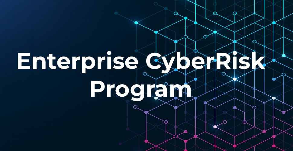 Cyber Risk Program